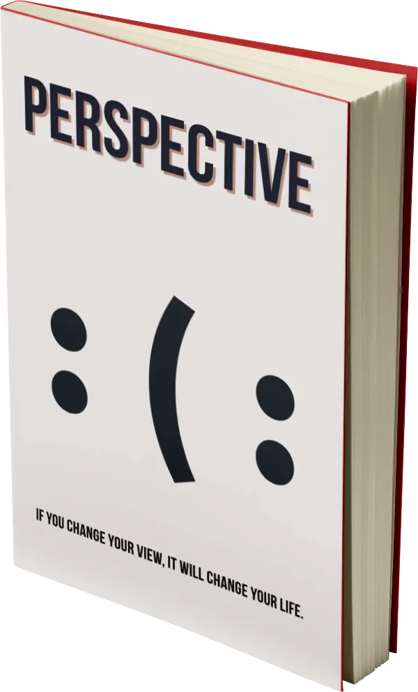 Copertina libro Perspective